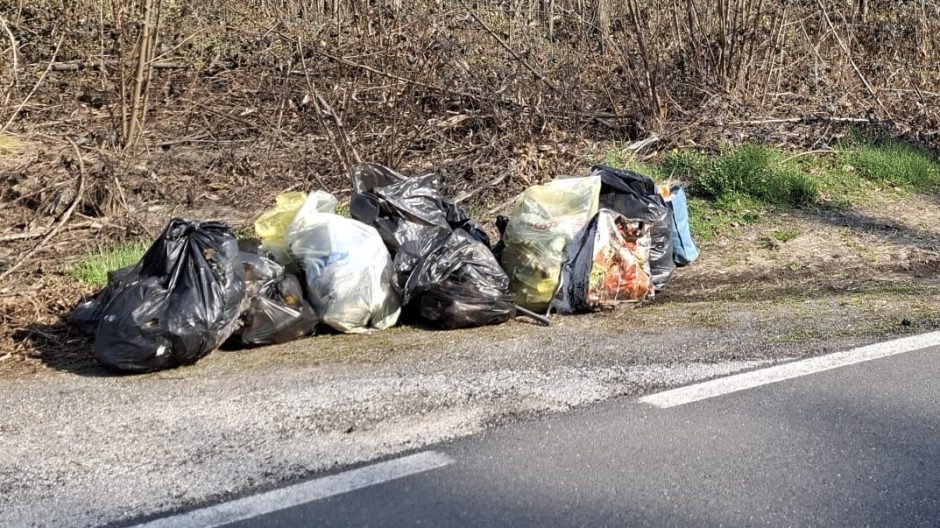 Borgomanero, svolta pulizia delle aree boschive a Santa Cristina